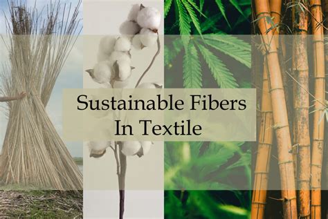  Nettle Fiber: Eine nachhaltige Alternative für die Textilindustrie?