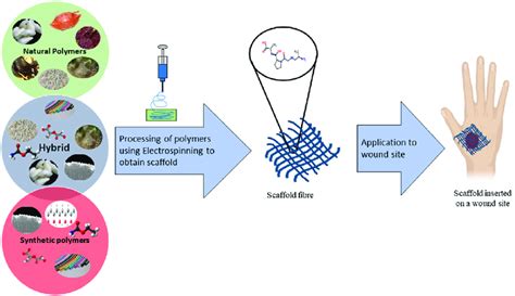  Resorbable Polymeric Scaffolds: Wie Revolutionieren Sie die Wundheilung?